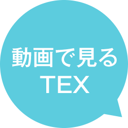 動画で見るTEX