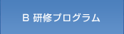 B 研修プログラム